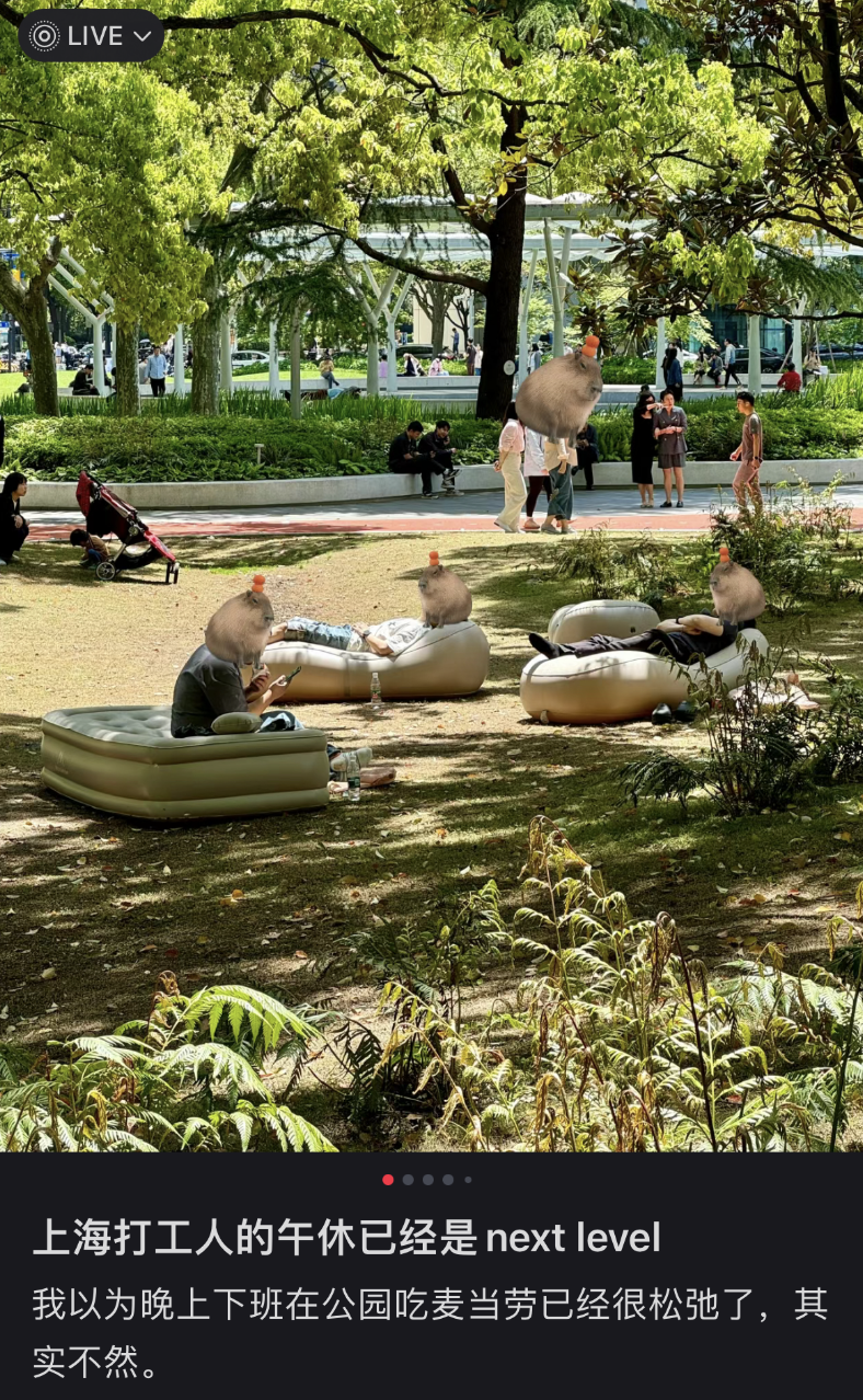 鼎点娱乐注册：城市绿化带里，躺满了最松弛的打工人