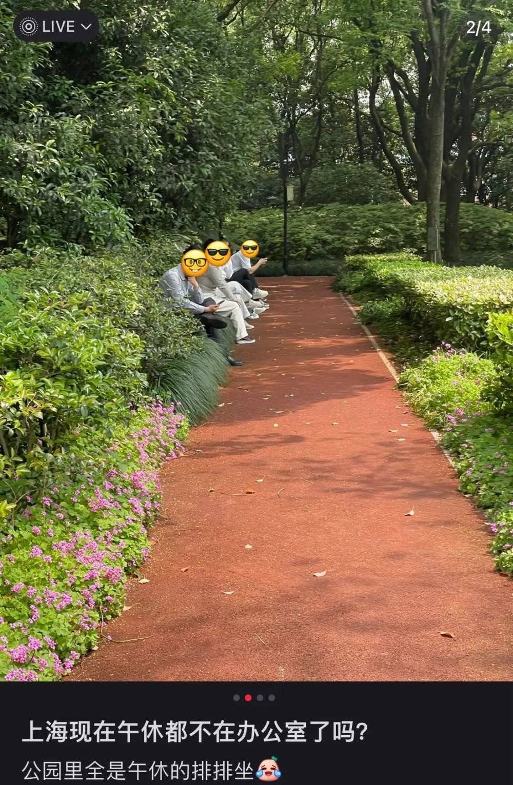 鼎点娱乐注册：城市绿化带里，躺满了最松弛的打工人