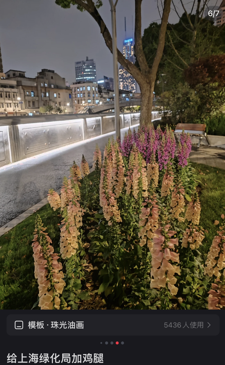 鼎点娱乐注册：城市绿化带里，躺满了最松弛的打工人