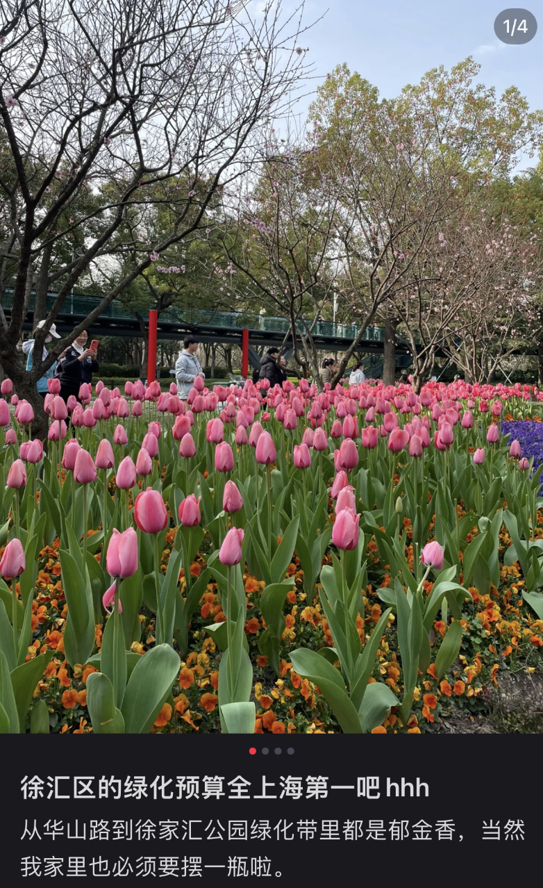 鼎点娱乐注册：城市绿化带里，躺满了最松弛的打工人