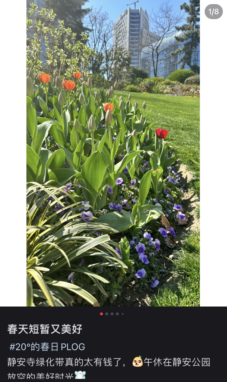 鼎点娱乐注册：城市绿化带里，躺满了最松弛的打工人