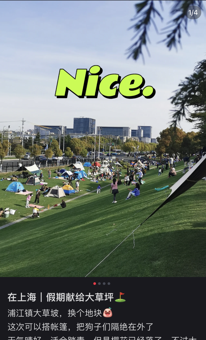 鼎点娱乐注册：城市绿化带里，躺满了最松弛的打工人