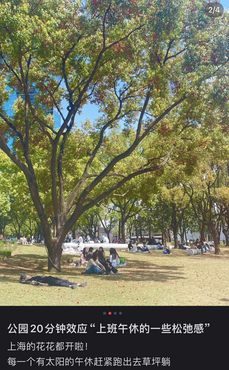 鼎点娱乐注册：城市绿化带里，躺满了最松弛的打工人