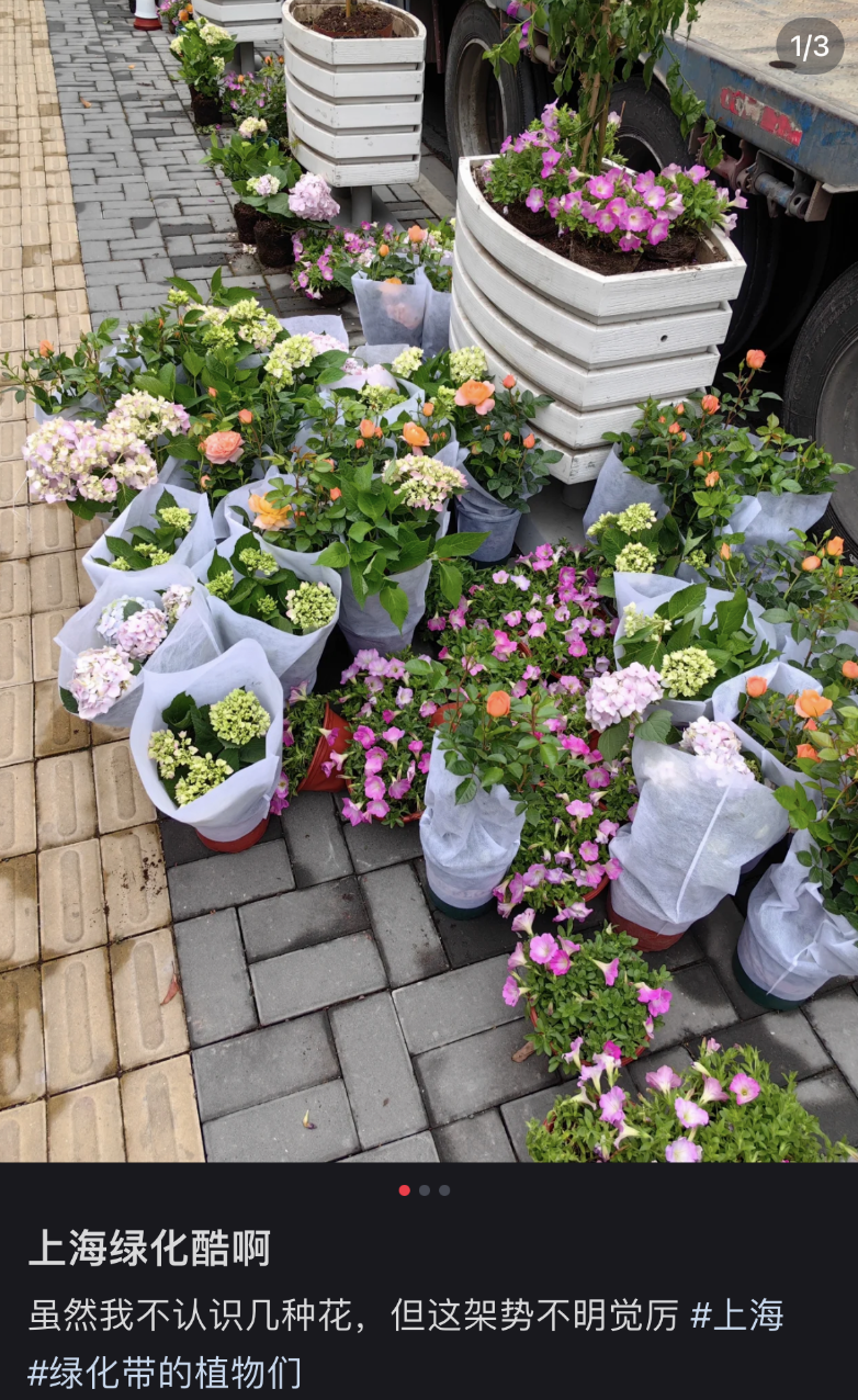 鼎点娱乐注册：城市绿化带里，躺满了最松弛的打工人