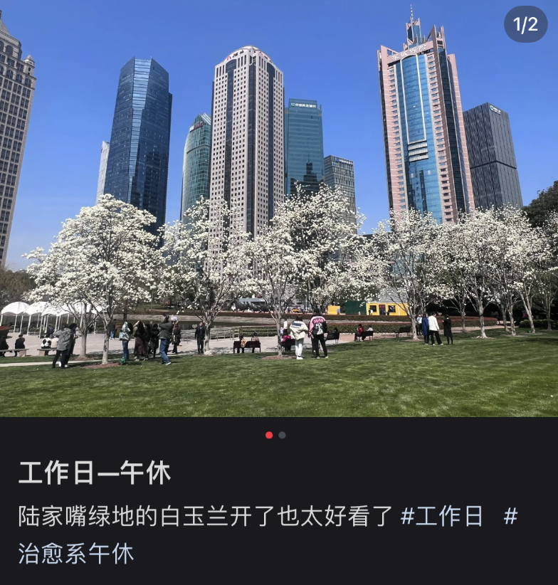 鼎点娱乐注册：城市绿化带里，躺满了最松弛的打工人